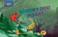 Scooby Doo İnşaat